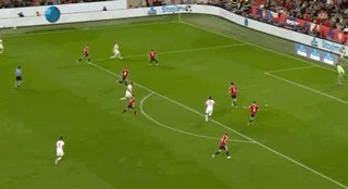 11.gif